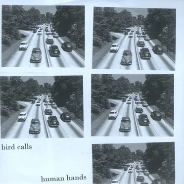 Bird Calls / Human Hands
