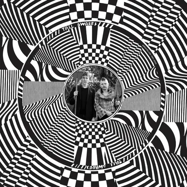 Unravelled: 1981–2002 by Tall Dwarfs - album cover