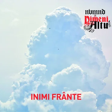 Inimi frante by nvmnd - album cover