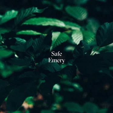 Safe