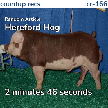 Hereford Hog