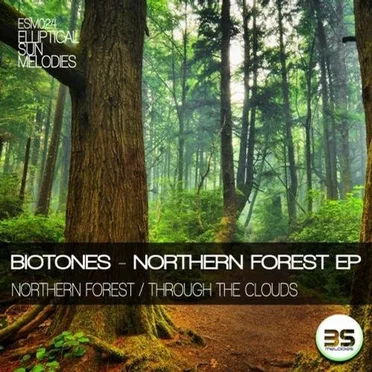 Northern Forest by Biotones - album cover