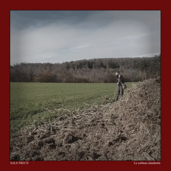 Le Corbeau Clandestin