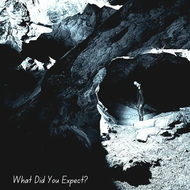 What Did You Expect? by Half Way Sober - album cover