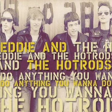 Do Anything You Wanna Do