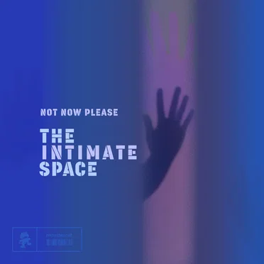 The Intimate Space by Not Now Please - album cover