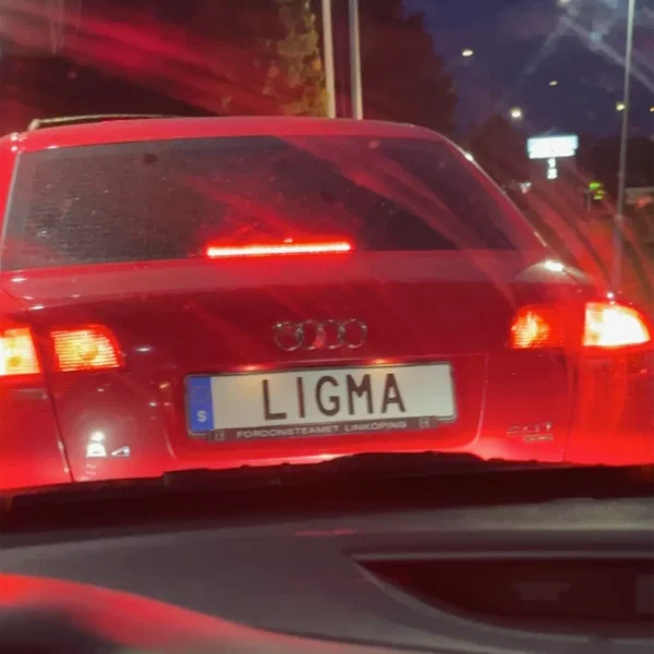 Andromeda (gvrlstink remix)