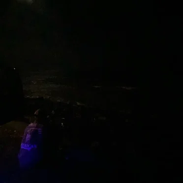 INTRO