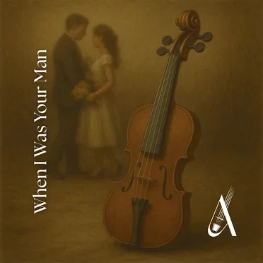 When I Was Your Man (Violin Cover)