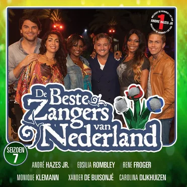 De beste zangers van Nederland, Seizoen 7 by Various Artists - album cover