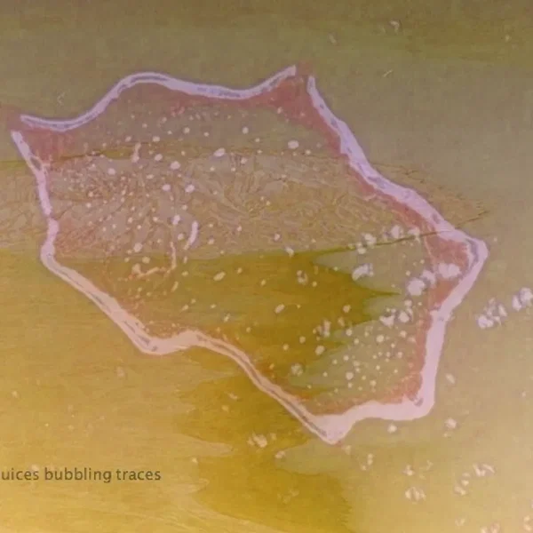 planet juices bubbling traces