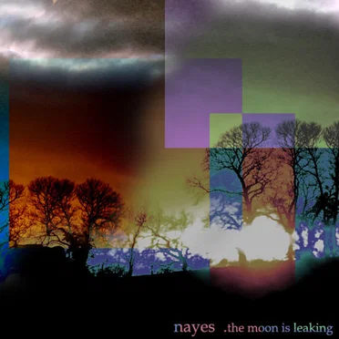 The Moon Is Leaking by Nayes - album cover