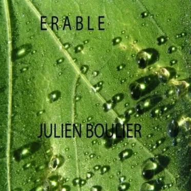 Julien Boulier