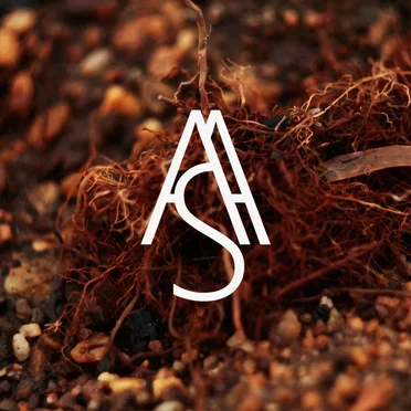 Генерация колебания (Синус)