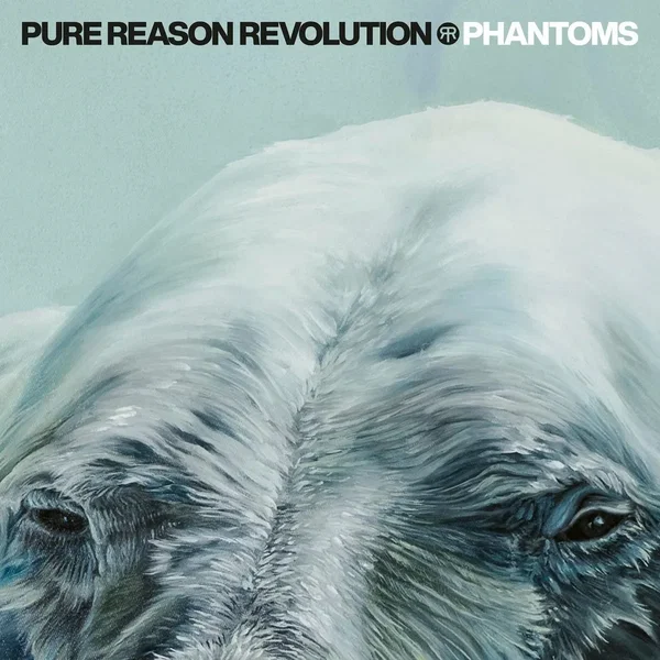 Phantoms