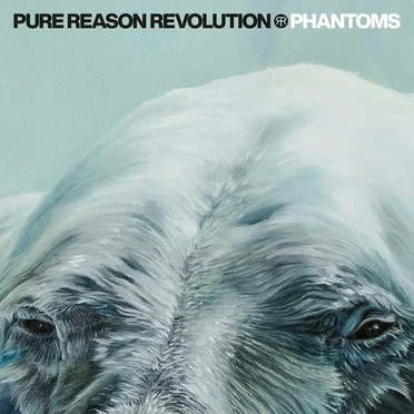 Phantoms