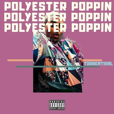 Polyester Poppin by Ark Woods - album cover