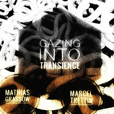 Gazing Into Transience