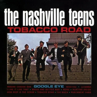 The Nashville Teens
