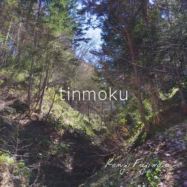 tinmoku by Kenji Fujiwara - album cover