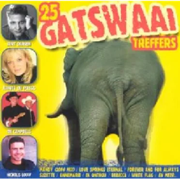 25 Gatswaai Treffers by Various Artists - album cover
