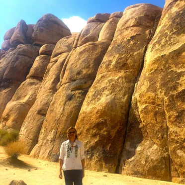 Desert Rose by Matt Lajoie - album cover