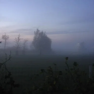 Frozen Silence