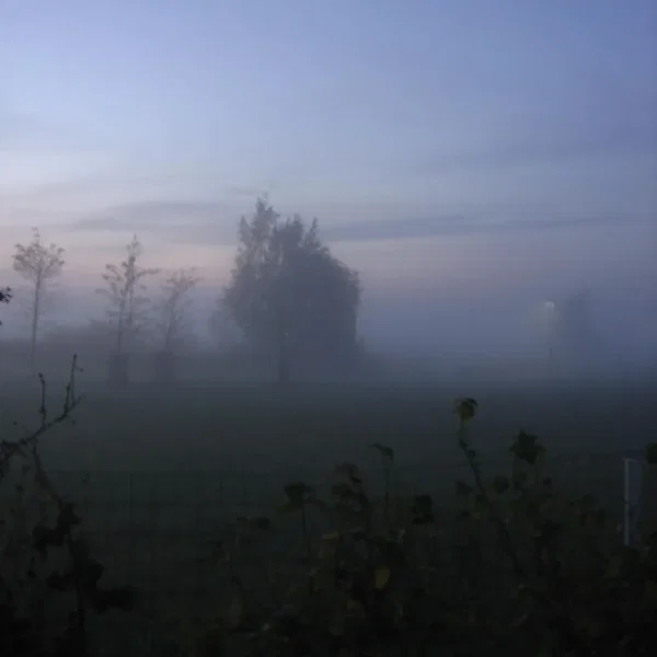Frozen Silence
