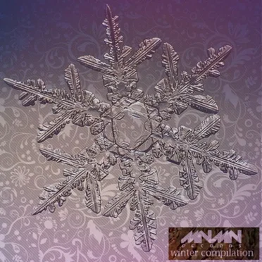 Winter Compilation, Part One by Various Artists - album cover