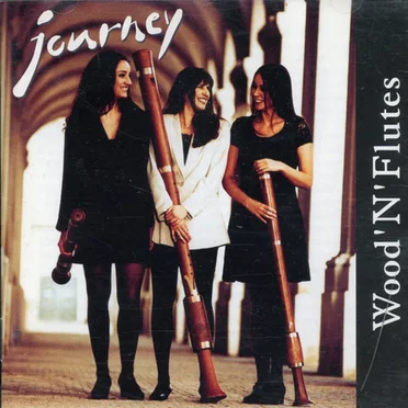Journey by Wood'N'Flutes - album cover