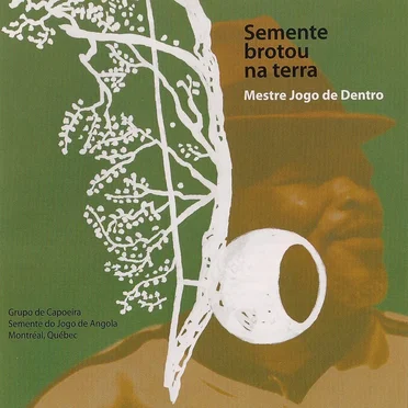 Semente Brotou Na Terra