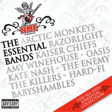 NME Presents: The Essential Bands by Various Artists - album cover