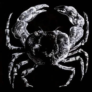 Crabe