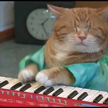 REINCARNATED! by Keyboard Cat - album cover