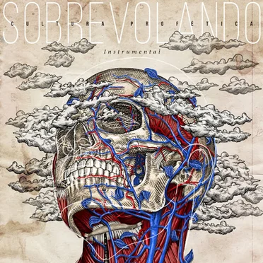 Sobrevolando Instrumental