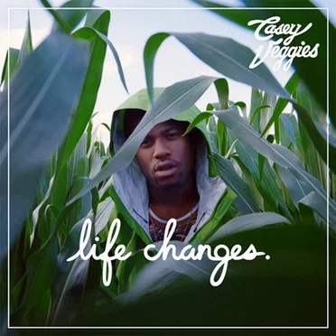 Life Changes by Casey Veggies - album cover