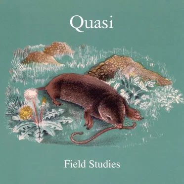 Field Studies