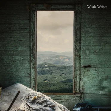 Weak Wrists by Weak Wrists - album cover