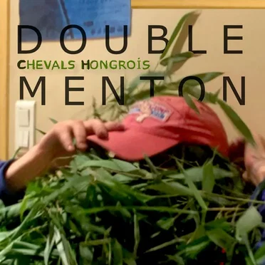 Double menton by Les Chevals Hongrois - album cover