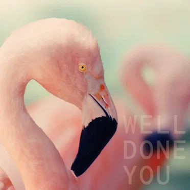 Well Done You