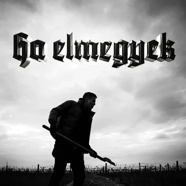 Ha elmegyek