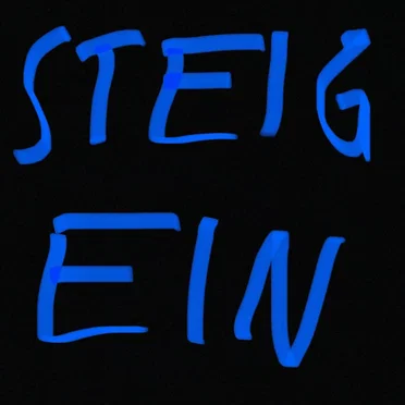 STEIG EIN