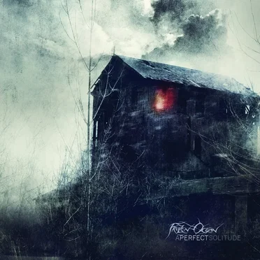 A Perfect Solitude by Frozen Ocean - album cover