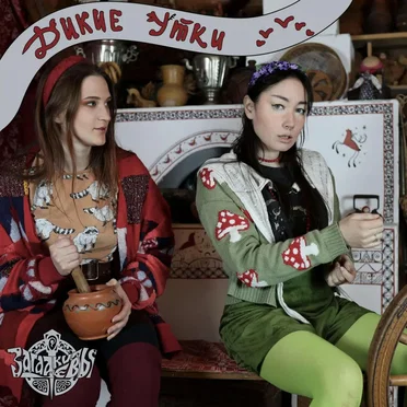 Дикие утки