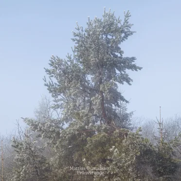 Frånvarande by Mattias Gustafsson - album cover