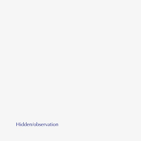 Hidden/observation