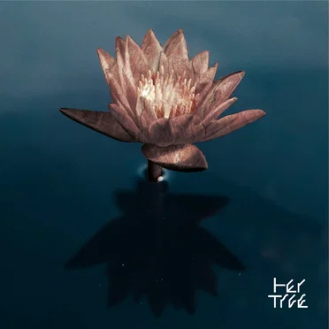 Don’t Try, Be Beautiful by her tree - album cover