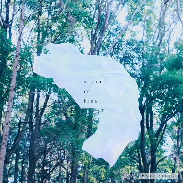 Evergreen