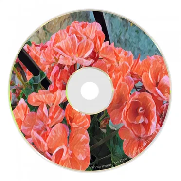 We Give You Love And Music, Vol. 9 by Various Artists - album cover