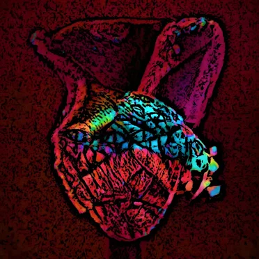 The Vase by Maagnatism - album cover